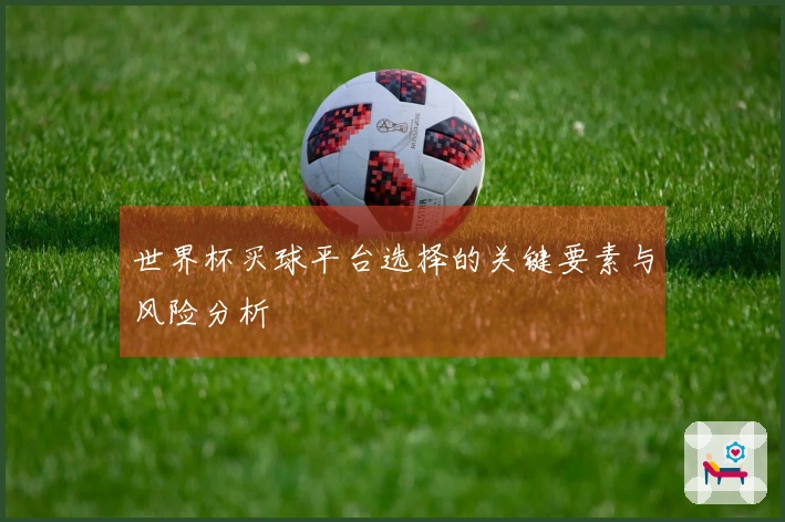 世界杯买球平台选择的关键要素与风险分析