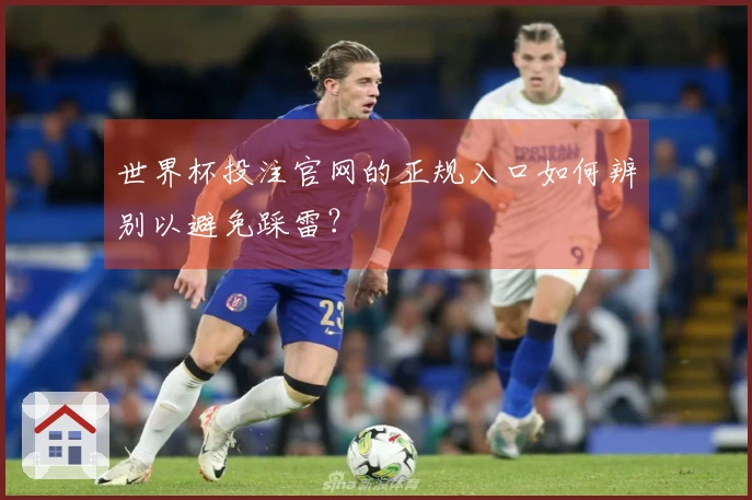 世界杯投注官网的正规入口如何辨别以避免踩雷？