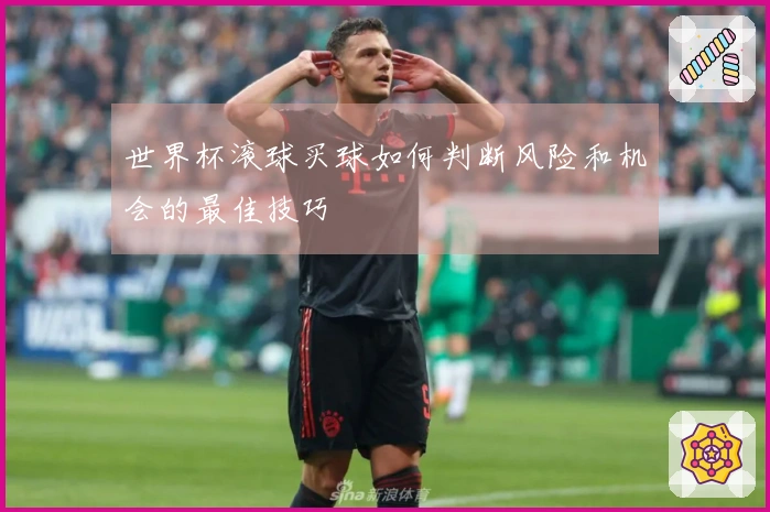 世界杯滚球买球如何判断风险和机会的最佳技巧