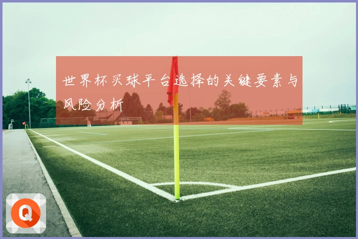 世界杯买球平台选择的关键要素与风险分析