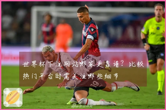 世界杯下注网站哪家更靠谱？比较热门平台时需关注哪些细节