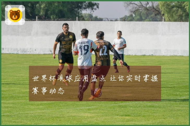 世界杯滚球应用盘点 让你实时掌握赛事动态